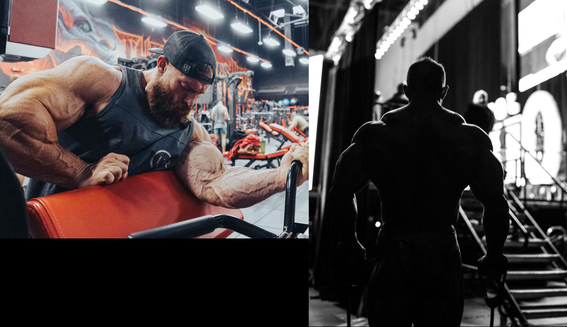 About Flex Lewis - Dragon's Lair Gym - Las Vegas