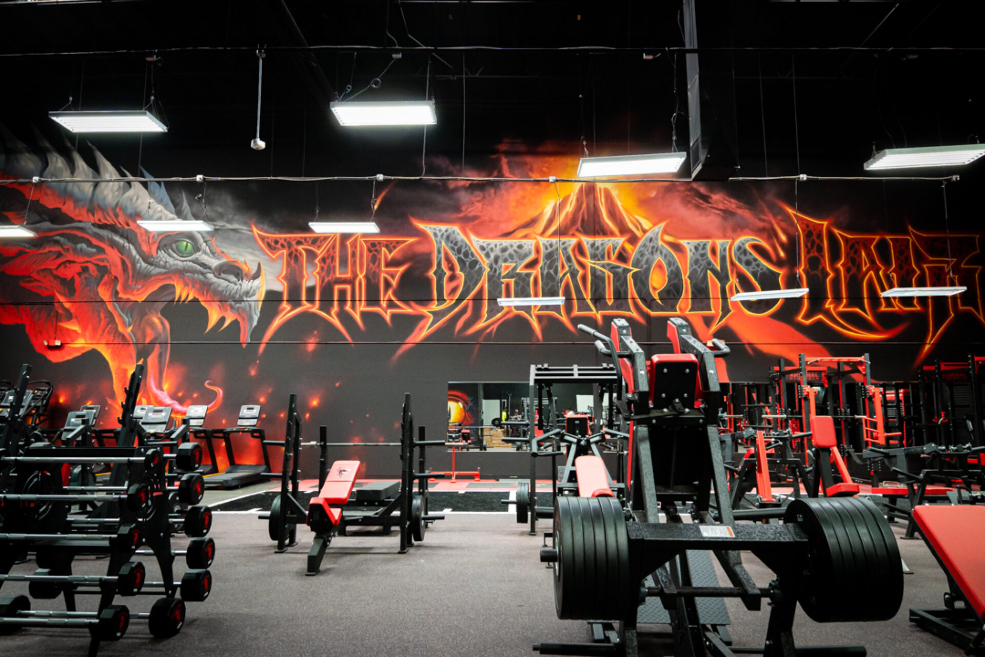 Home of Champions - Dragon's Lair Gym - Las Vegas