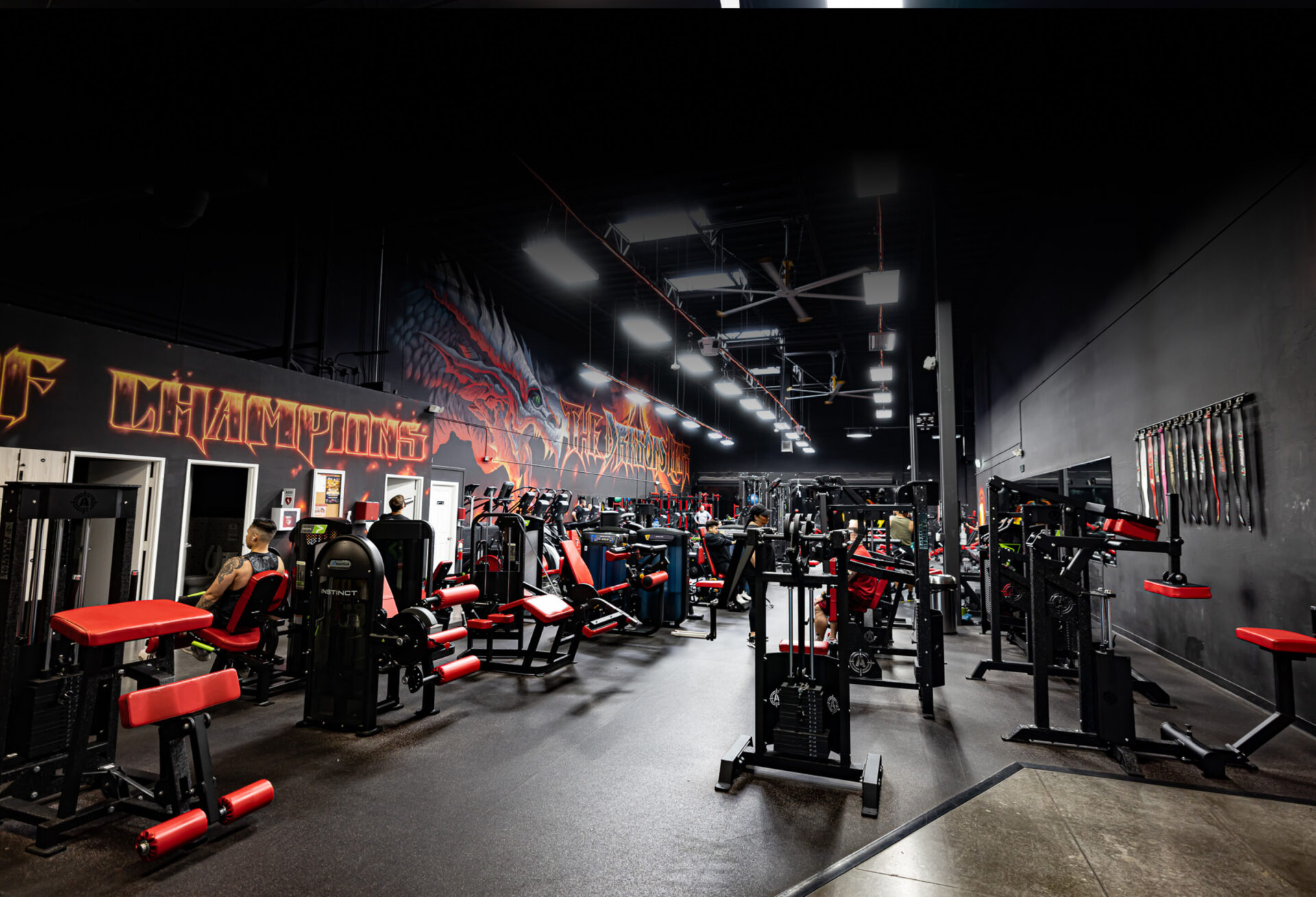 Main Floor - Dragon's Lair Gym - Las Vegas, NV