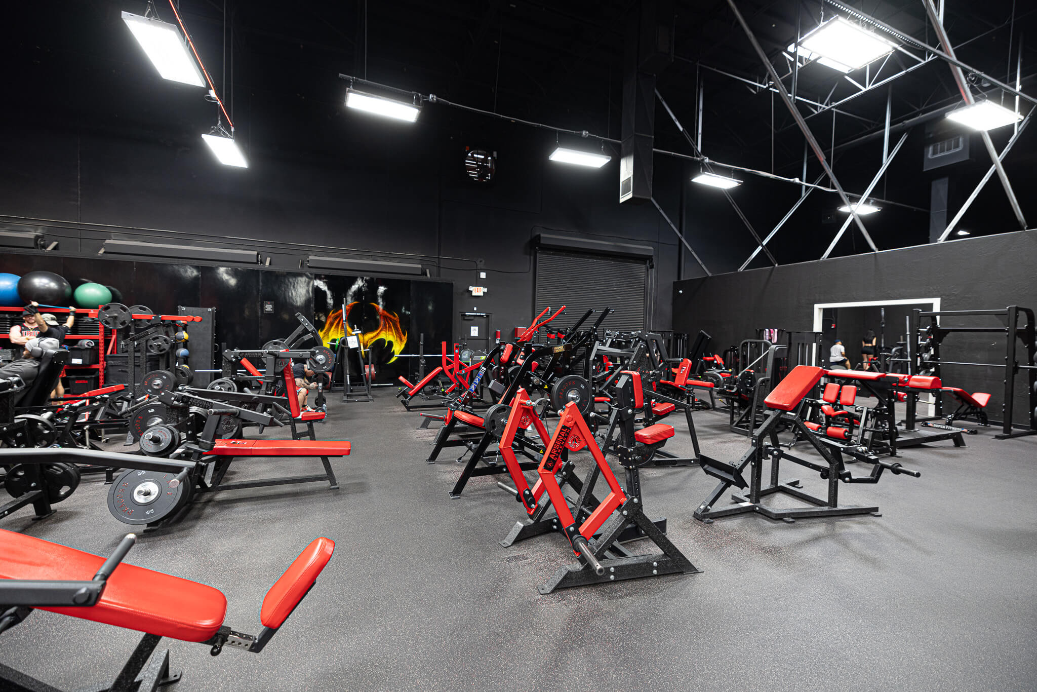 Gym Design  The Dragon's Lair Gym in Las Vegas 